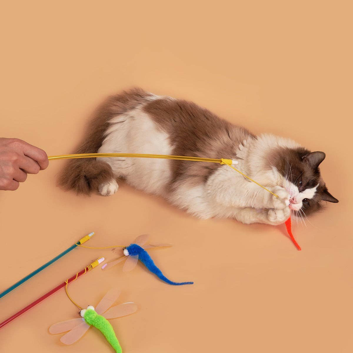 Dragonfly Cat Teaser Wand