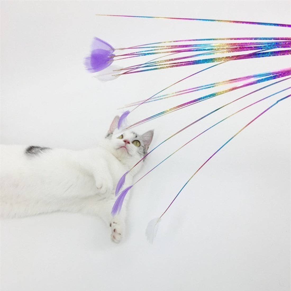Ribbon Feather Cat Teaser Wand