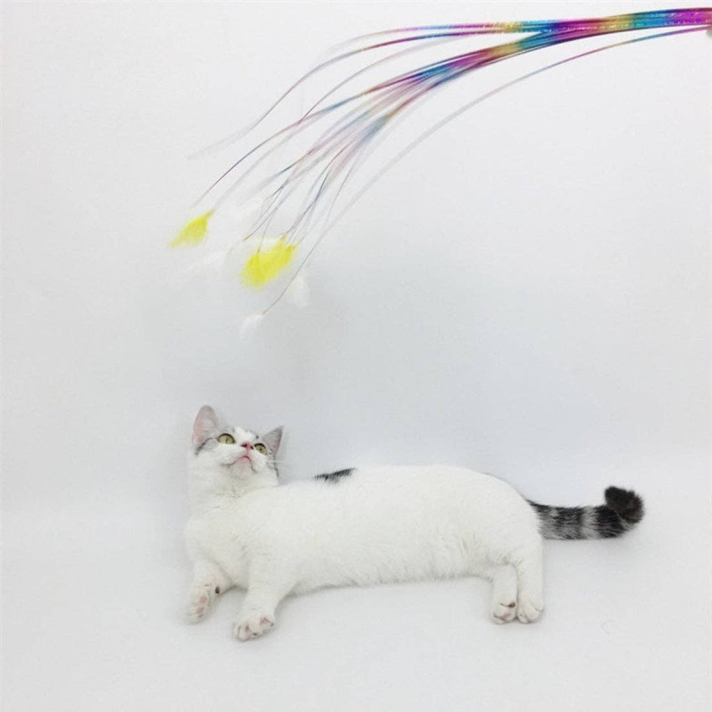 Ribbon Feather Cat Teaser Wand