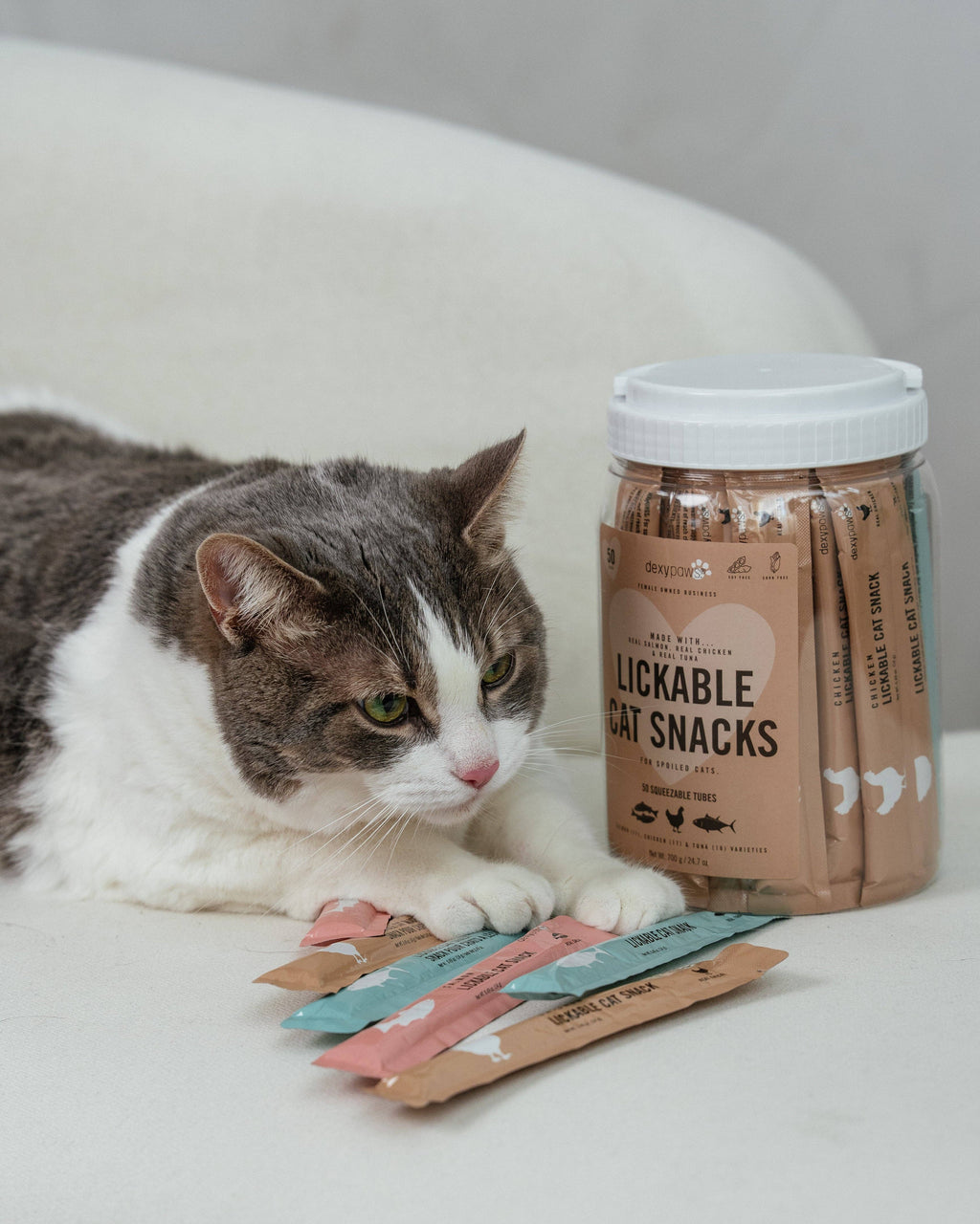 Dexypaws Lickable Cat Snack