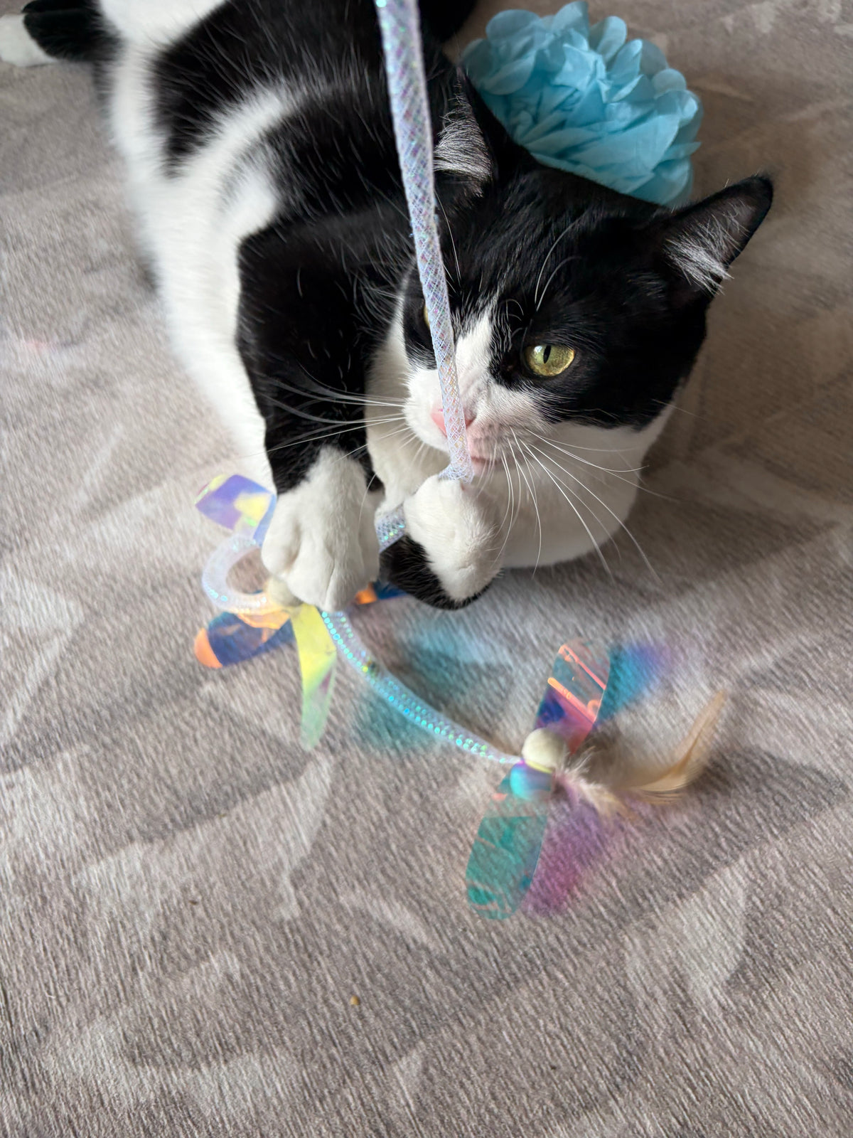 Flutter Wing Cat Teaser Wand