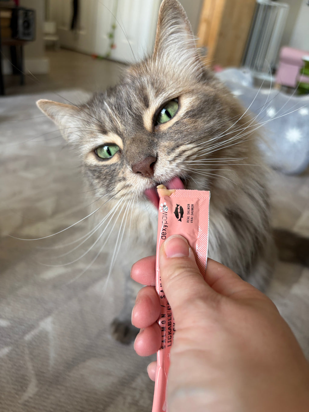 Dexypaws Lickable Cat Snack