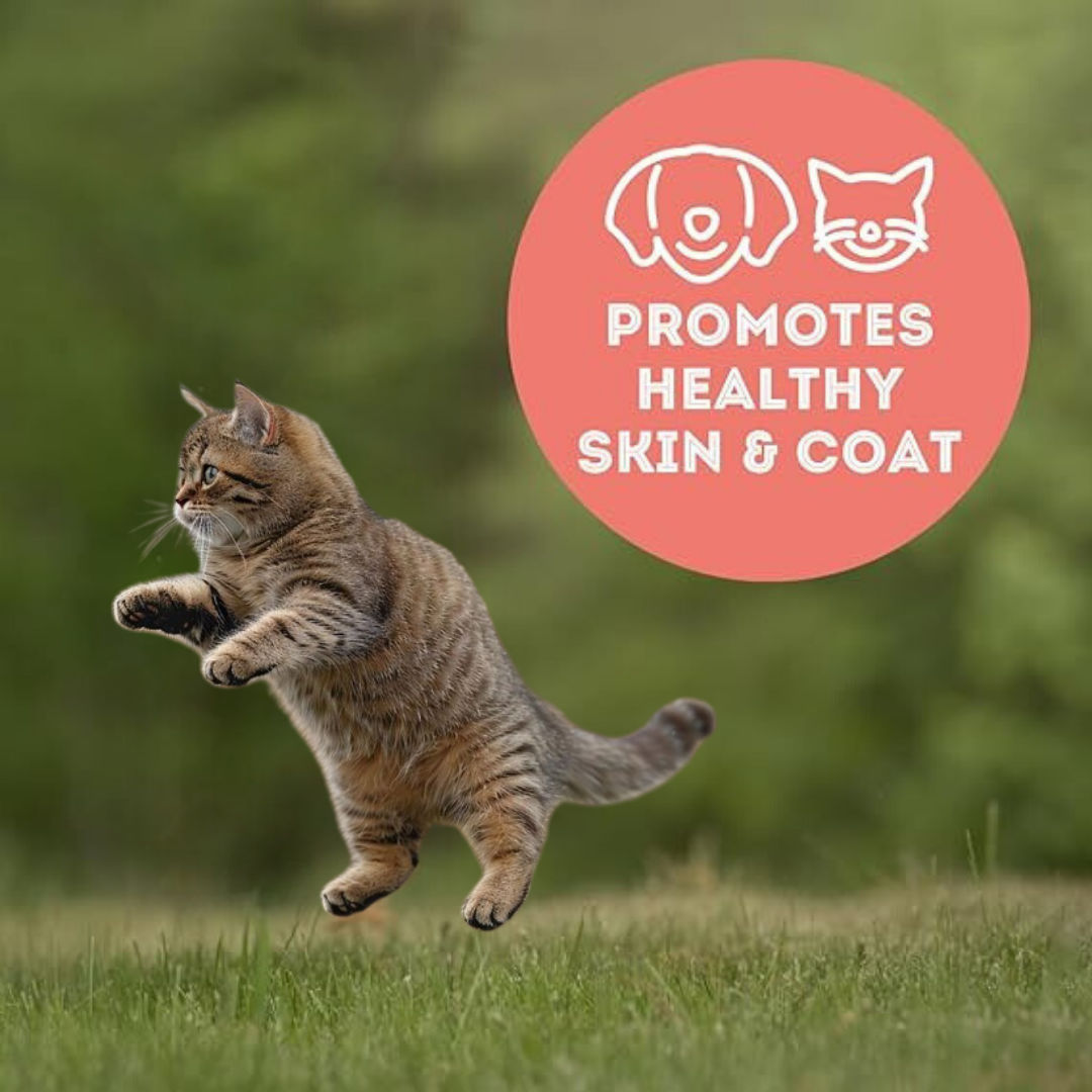 Tuna Flakes Freeze-Dried Pet Treats Omega-3