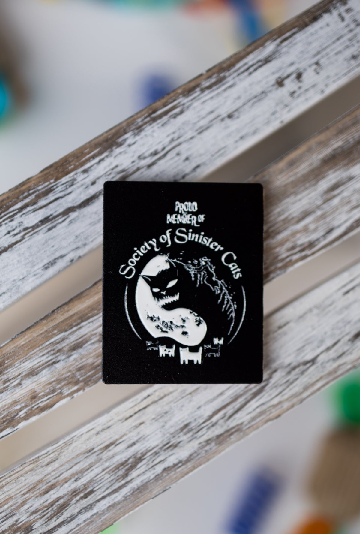 Proud Member of the Society of Sinister Cats Magnet
